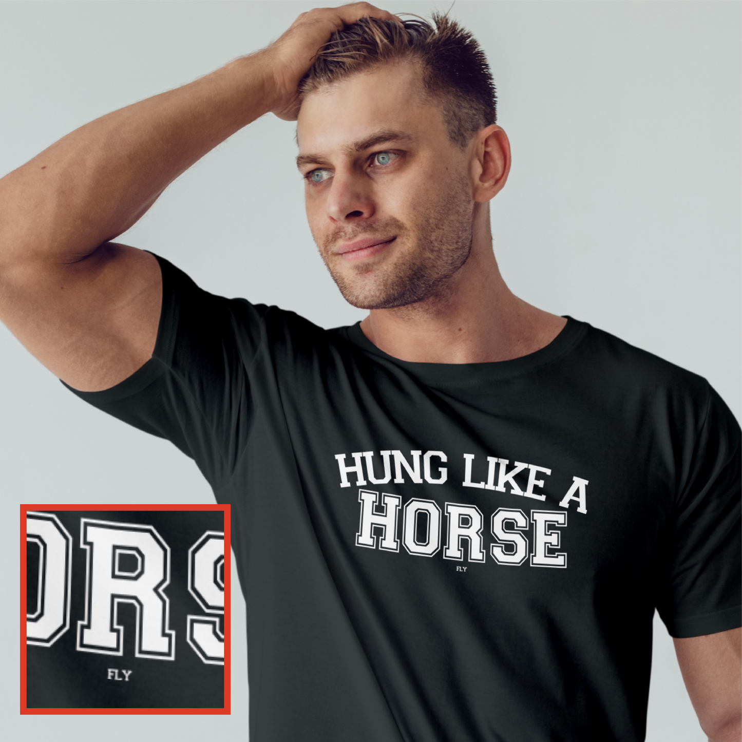 Hung Like A Horse Fly Tee