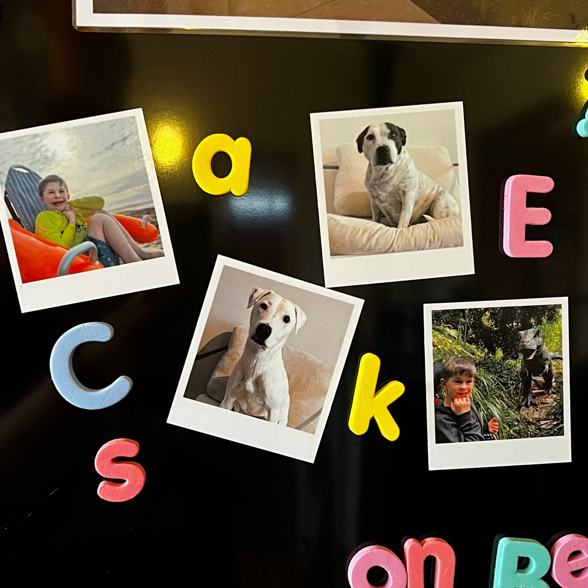 6 x Photo Magnets
