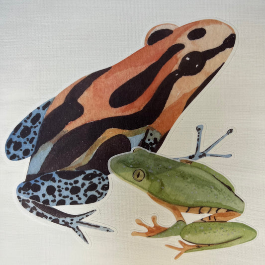 Set Of 8 Watercolour Frogs Repositionable Fabric Wall Decals